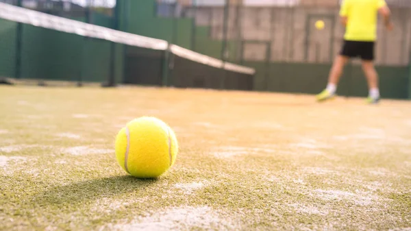 室外绿色庭院里 黄球落在网后的地板上 帕特尔网球是一种网球拍游戏 专业体育概念 — 图库照片