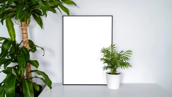 현대식 패널에 사무실 식물을 디자인을 배경에 맞추어 만들어 — 스톡 사진
