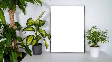 Ofis odasında bitki bulunan modern bir panel. Reklamların tasarımı için beyaz arkaplanda minimalist siyah çerçeve modeli. Duvara karşı kare çerçeve.