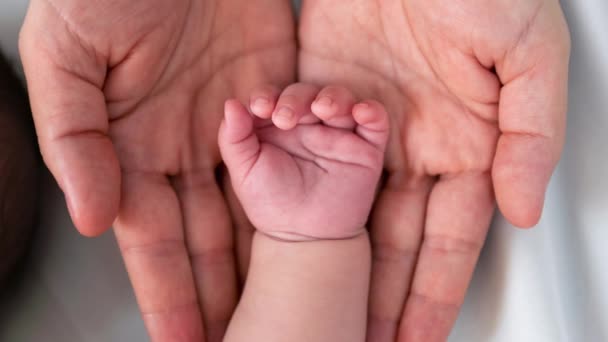 Close Little Tiny Baby Hand Palm Mother Hands Peace Calm — Stock Video