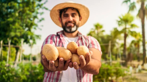 Portret Van Een Moderne Bebaarde Boer Met Aardappelen Handen Kijkend Stockafbeelding