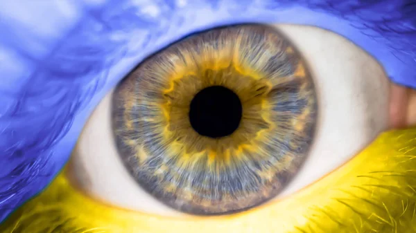 Portrait of a man with the color of the eyes of the flag of Ukraine. Close-up of male eye with a Ukrainian banner. National symbol of freedom and independence. Russian invasion of Ukraine, Stop war.
