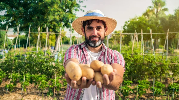 Portrait of a modern bearded farmer man with potatoes on hands looking at camera smile and stands in the agricultural field. Cheerful male worker in agricultural farm.