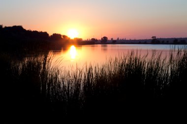 Nehri yakınında güzel gün batımı