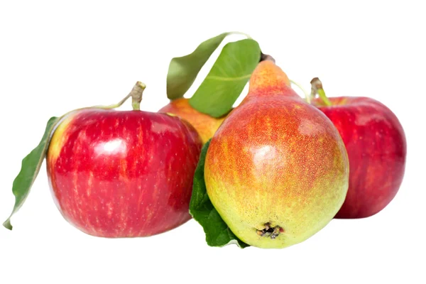 Olgun elma ve armut ile yapraklar — Stok fotoğraf