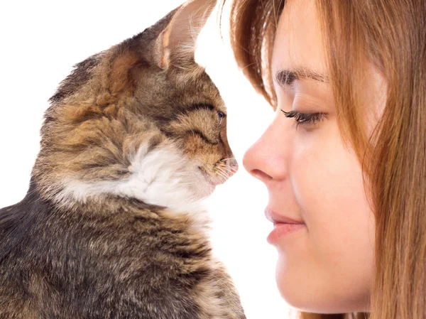 Hermosa chica con un gatito nariz a nariz — Foto de Stock