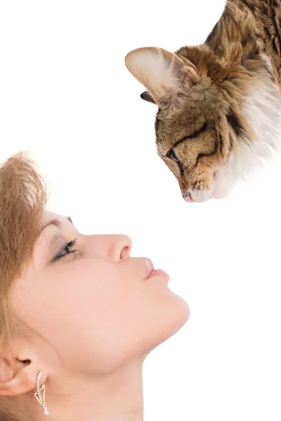 Hermosa chica con un gatito nariz a nariz — Foto de Stock