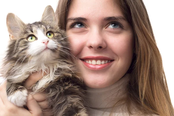 Piękna dziewczyna z puszysty kotek w ramionach — Zdjęcie stockowe