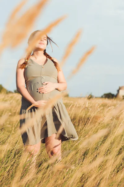 Junge Schöne Schwangere Frau Spaziert Feld Zwischen Trockenem Flauschigem Gras — Stockfoto