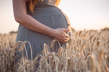 Buğday tarlasında genç hamile bir kadının karnına dokunmak. Müstakbel anne doğada yürüyor. Rahatlatıcı, sağlıklı hamilelik kavramı.