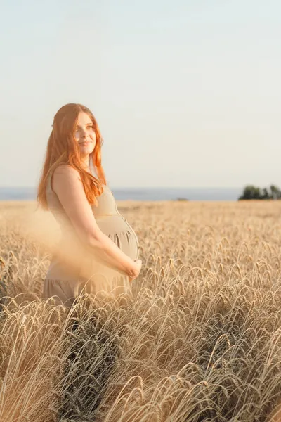 Mooie Jonge Zwangere Vrouw Loopt Rijp Tarweveld Bij Zonsondergang Aanstaande — Stockfoto