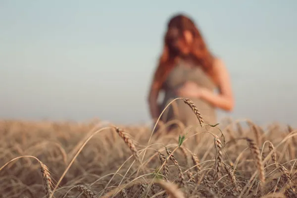Заднем Плане Молодая Беременная Женщина Размытом Виде Гуляет Пшеничному Полю — стоковое фото