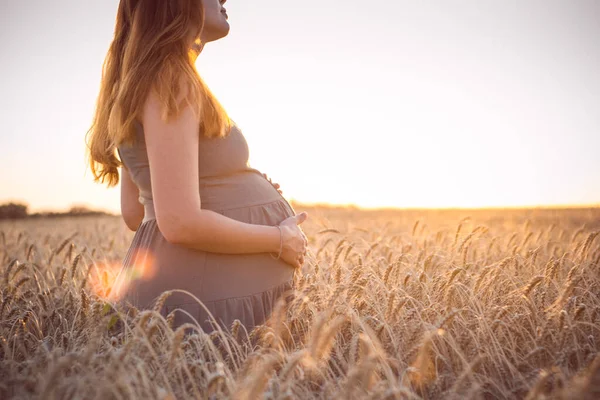 여름에 밀밭에서 여자가 미래의 어머니가 자연에서 휴식을 취하고 임신을 개념을 — 스톡 사진