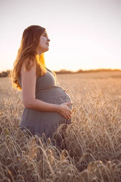 아름답고 임신부가해 밀밭을 거닐며 자연스럽게 가지고 임신부는 손으로 쓰다듬으며 개념을 — 스톡 사진