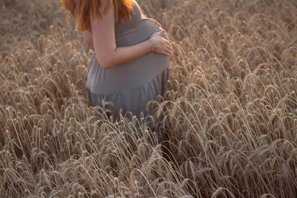 Young Woman Lying Wheat Field Summer Sunset Touching Belly Future — Stock Photo, Image