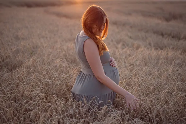 妊娠中の赤髪の若い女性が畑を歩きながら夕暮れ時に小麦の耳を撫でる未来の母親は自然の中でリラックス母親と健康の概念 — ストック写真