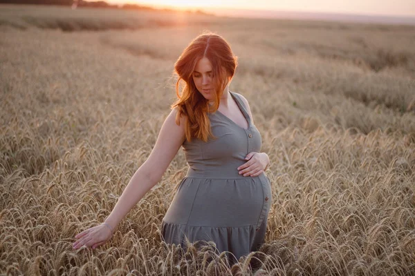 黄昏时分 红头发的孕妇在农田里散步 抚摸着麦穗 未来的母亲自然会放松 母亲与健康的概念 — 图库照片