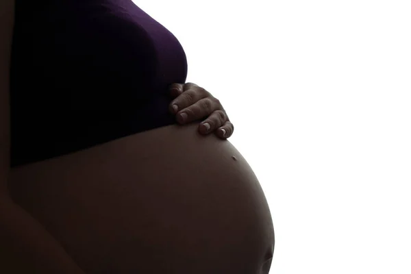 孕妇腹部轮廓 手摸着它的白色孤立背景 怀胎的女性形象 新的人生观 — 图库照片