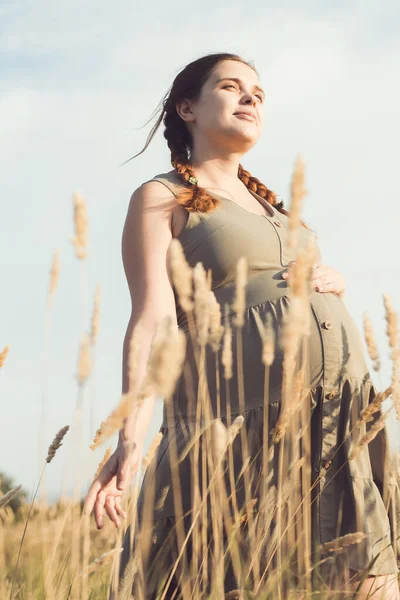 Молодая Красивая Беременная Женщина Ходит Полю Среди Сухой Пушистой Травы — стоковое фото