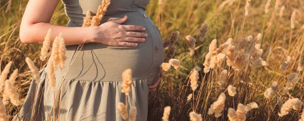 怀孕妇女的腹部在田间干枯蓬松的草丛中 夏季自然放松 分娩前准备 健康孕产概念背景 — 图库照片