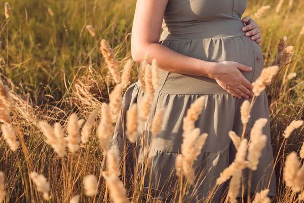怀孕妇女的腹部在田间干枯蓬松的草丛中 夏季自然放松 分娩前准备 健康孕产概念背景 — 图库照片