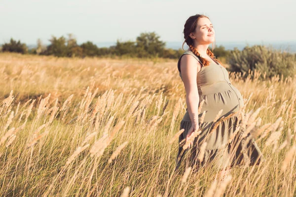 Junge Schöne Schwangere Frau Spaziert Feld Zwischen Trockenem Flauschigem Gras Stockbild