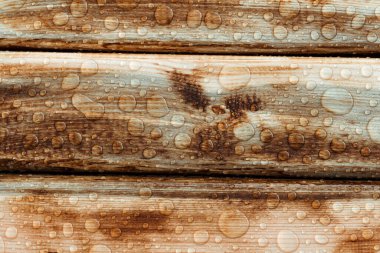 Yağmurdan parlak su damlaları, ıslak ahşap kalaslar, üst manzara.