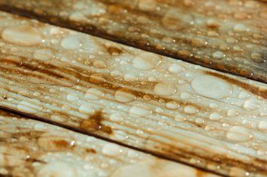 Yağmurdan parlak su damlaları, ıslak ahşap kalaslar, üst manzara.