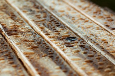 Yağmurdan yağan parlak su damlaları ve ıslak ahşap kalaslarla kaplanmış ahşap kaplama.