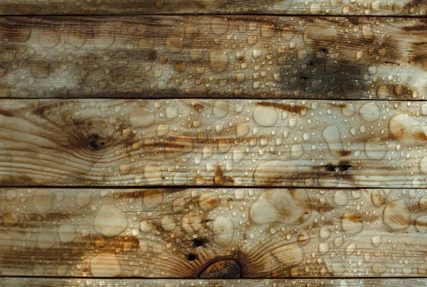 background of lacquered burnt wood texture with shiny water drops from the rain, wet wooden planks, top view