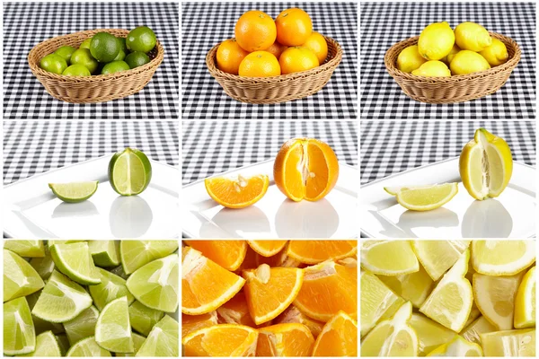 Citrusfrukter — Stockfoto