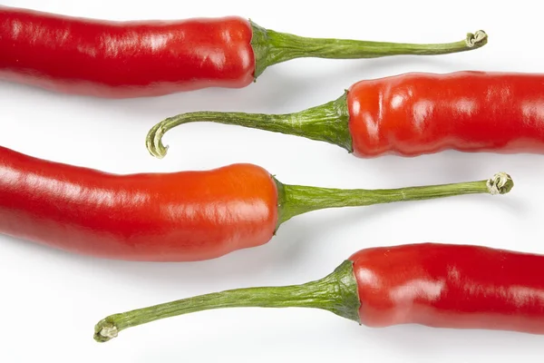 Red hot pepper — Stock Photo, Image