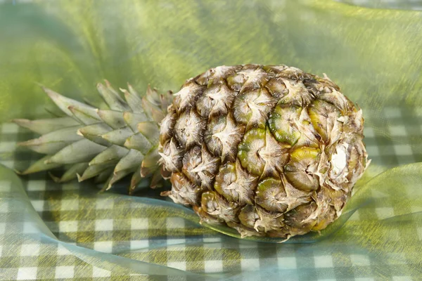 Pineapple - Popart — Stock Photo, Image