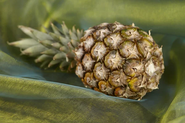 Pineapple - Popart — Stock Photo, Image