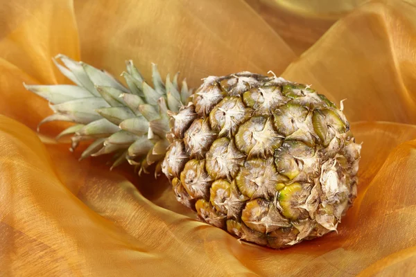 Pineapple - Popart — Stock Photo, Image