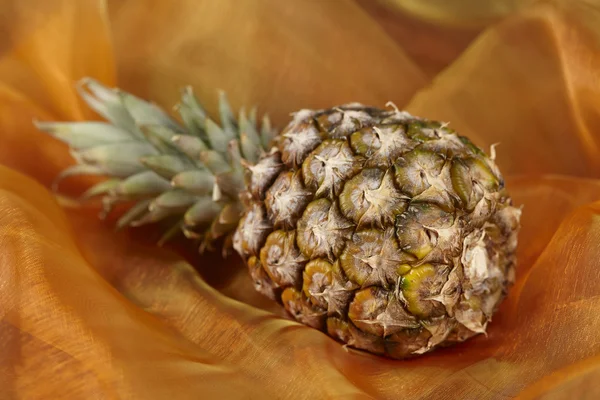 Pineapple - Popart — Stock Photo, Image