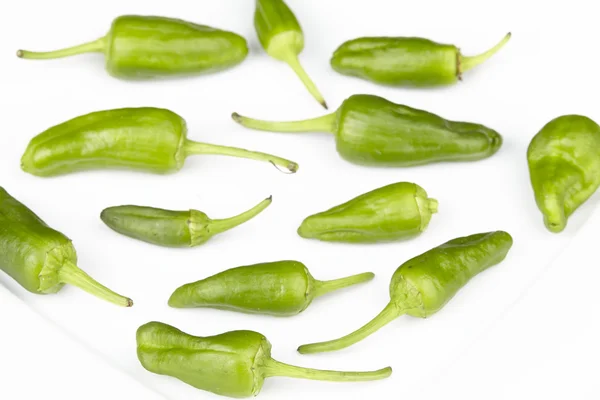 Padron Chilis — Stock Photo, Image