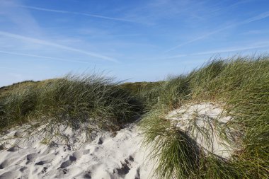 sylt (almanya) - puan klent de kumul