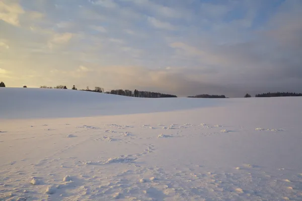 Снігове поле на заході сонця Стокове Зображення