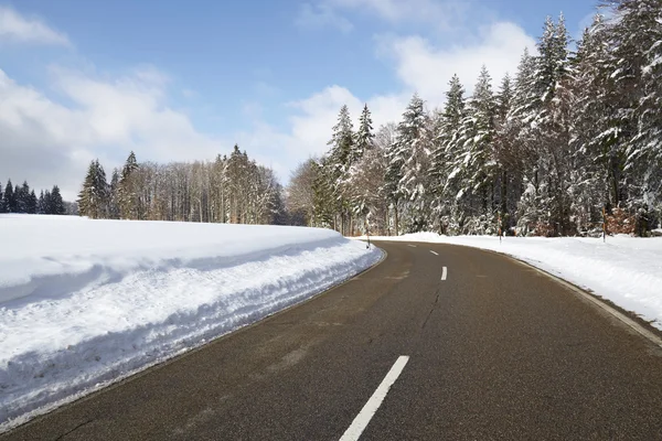 冬季景观与街 免版税图库照片