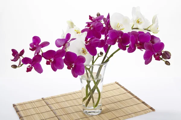 Strauß Orchideen — Stockfoto