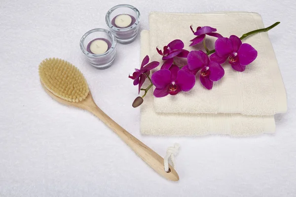 Wellness - Bath brush, towels and decoration — Stock Photo, Image