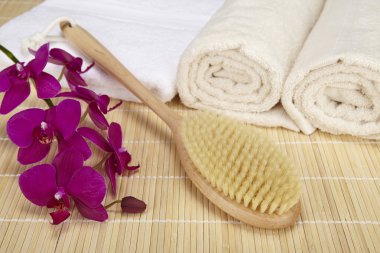 Sağlık - banyo fırçası, katlanmış ve rulo havlu