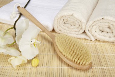 Sağlık - banyo fırçası, katlanmış ve rulo havlu