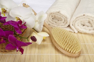 Sağlık - banyo fırçası, katlanmış ve rulo havlu
