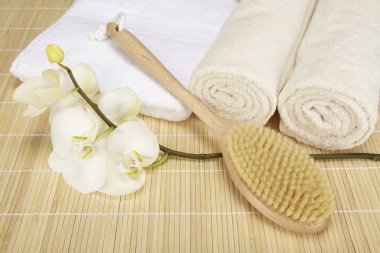 Sağlık - banyo fırçası, katlanmış ve rulo havlu