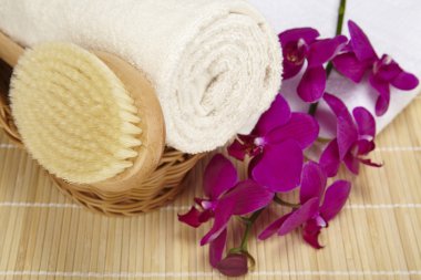 banyo fırçası ve bir sepet içinde havlu devirdi