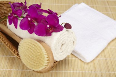 banyo fırçası ve bir sepet içinde havlu devirdi