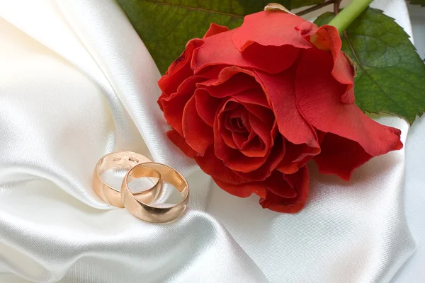 Wedding rings and rose — Stock Photo, Image