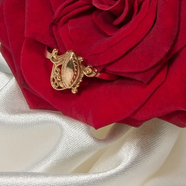 Anillo con rosa — Foto de Stock